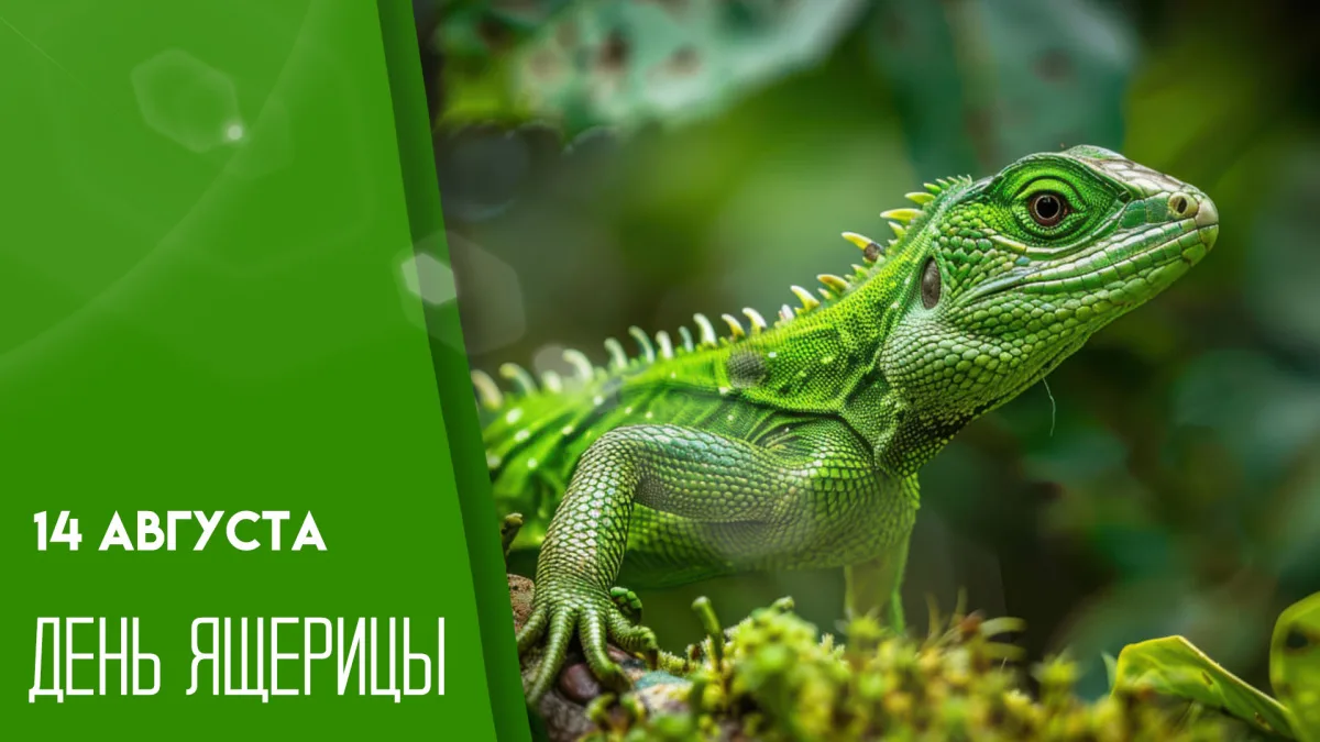 🦎 Всемирный день ящерицы! А вы знали?