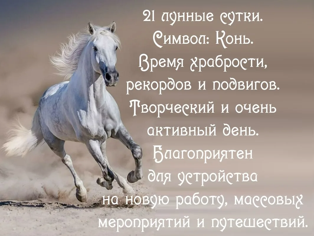 21-й лунный день  с 01.09 19:57 по 02.09 20:11 MSK.