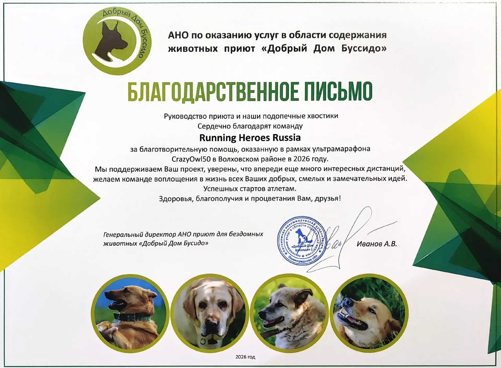 В рамках прошедшей CrazyOwl50 Вещий Олег, могучий Волхов команда Running Heroes Russia ...