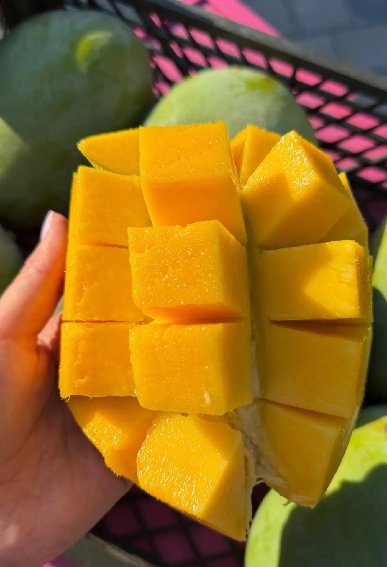 Манго Кент снова довезли 🥭

Спелое, ароматное — есть и наслаждаться 😋

💰 Ящиком — 390 ₽/кг
💰 Раз