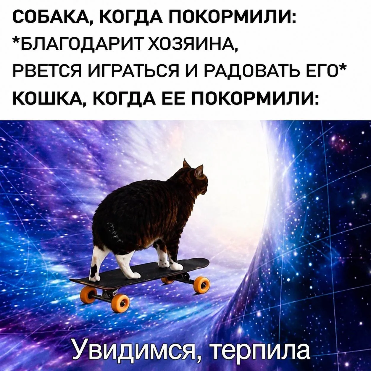 Мемы в MAX