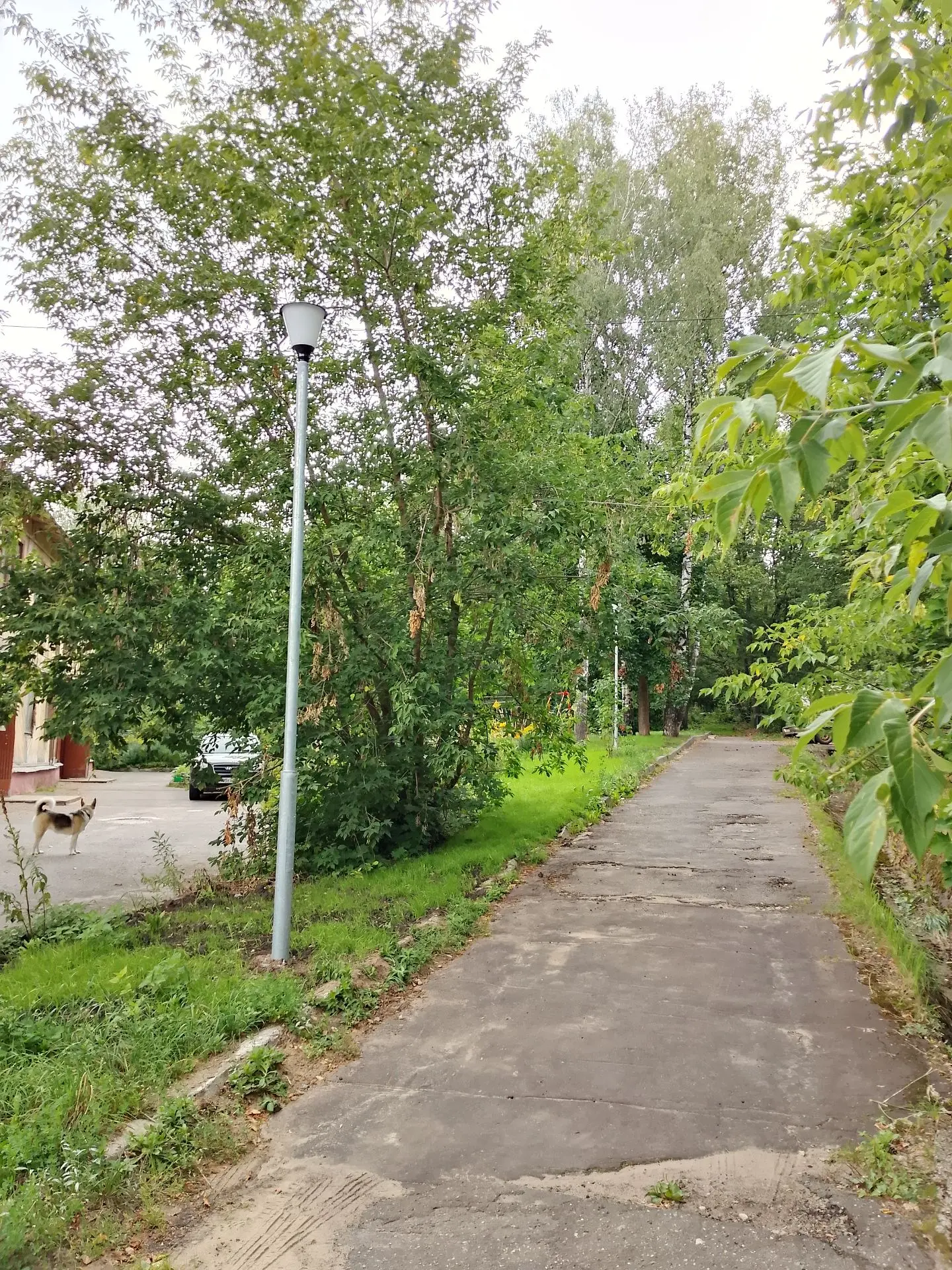 Светлые дела