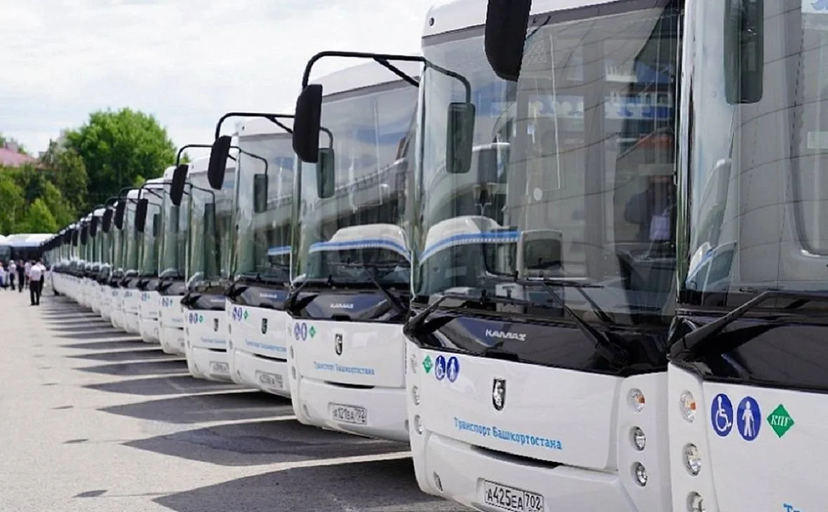 🚍 В Башкирии число частных перевозчиков сократилось почти втрое

В 2025 году пассажирскими перевозк