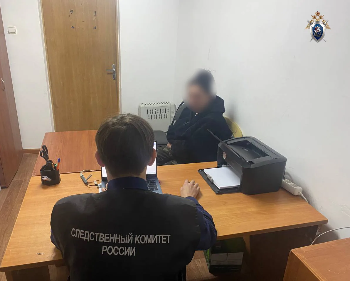 В Элисте на основании вердикта присяжных заседателей вынесен приговор местной жительниц...