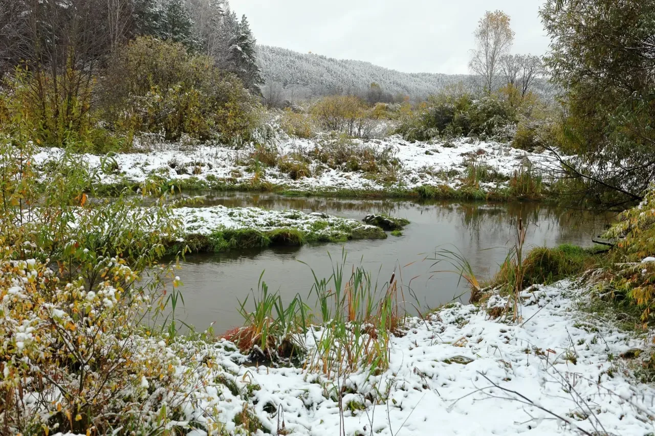 ❄️ Утро со снегом выглядит так: природа укрылась пушистым одеялом и решила никуда не ид...