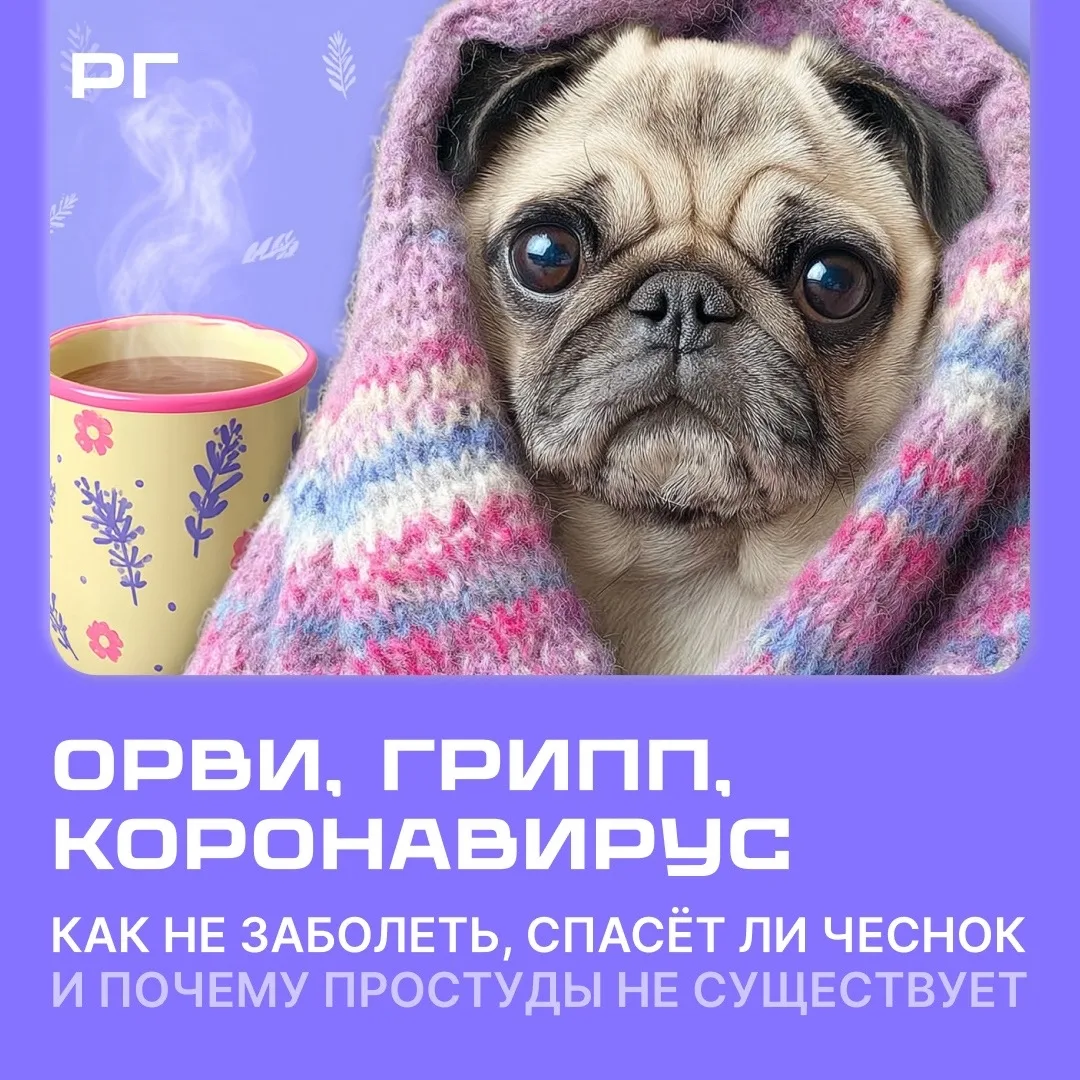 Cейчaс циркулируют новые штаммы вирусов гриппа, к которым у россиян нeт иммyнитета, — э...