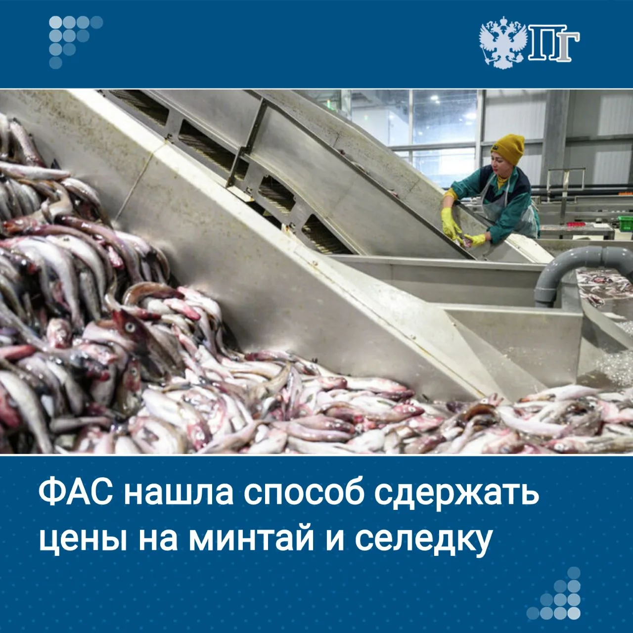 ФАС предложила сократить число посредников между рыбаками, переработчиками и магазинами, чтобы сдерж
