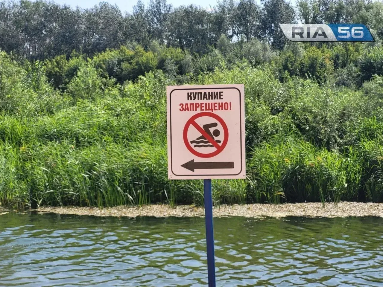 ❗В Сакмарском районе утонул ребенок, еще троих удалось спасти