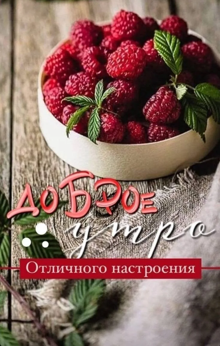 Подпишись 👇
Твои открытки • Открытки • Доброе утро • С днём рождения • Спокойной ночи