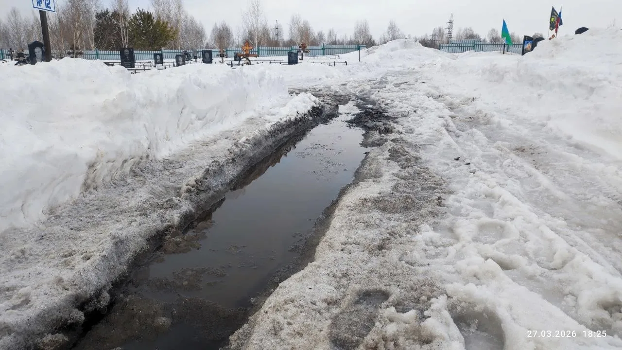 Чаты губернатора и глав городов ломятся от жалоб на "качество" "уборки" снега в террито...