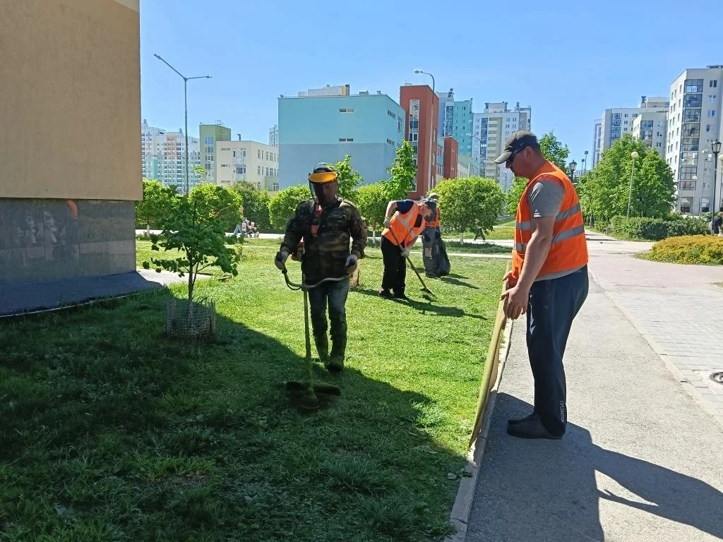 В Академическом начали стричь газоны – для красоты и безопасности   В этом году из-за аномально тепл