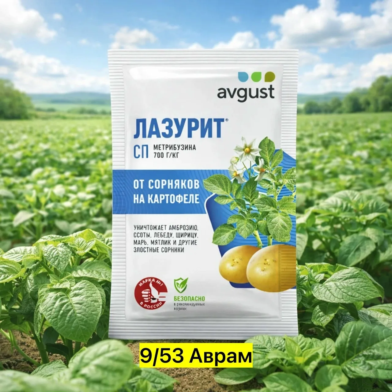 https://vk.com/photo-184814919_493495490