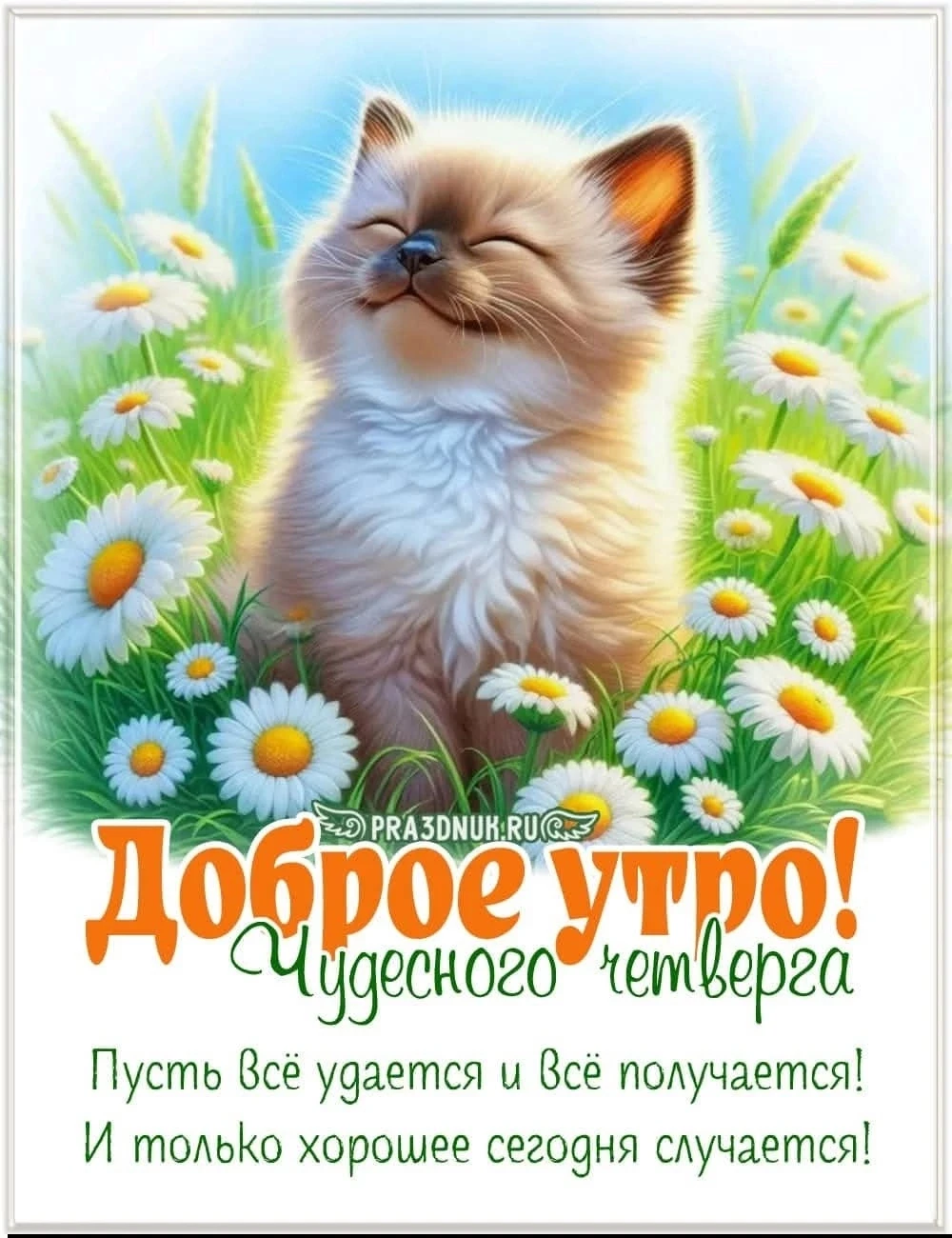 Чудесного четверга!🙂🌺✨
Рождение дня! Какое это счастье...
Проснуться и рассвет в себя вдохнуть,
Ск
