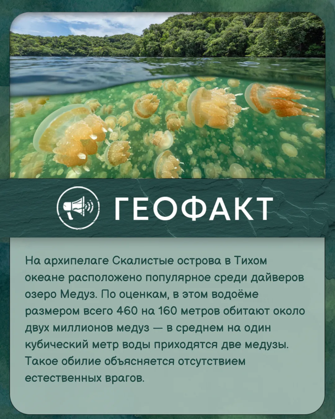 #геофакт
#Институт_Карпинского
#первые_в_геологии
#институт_независимых_умов