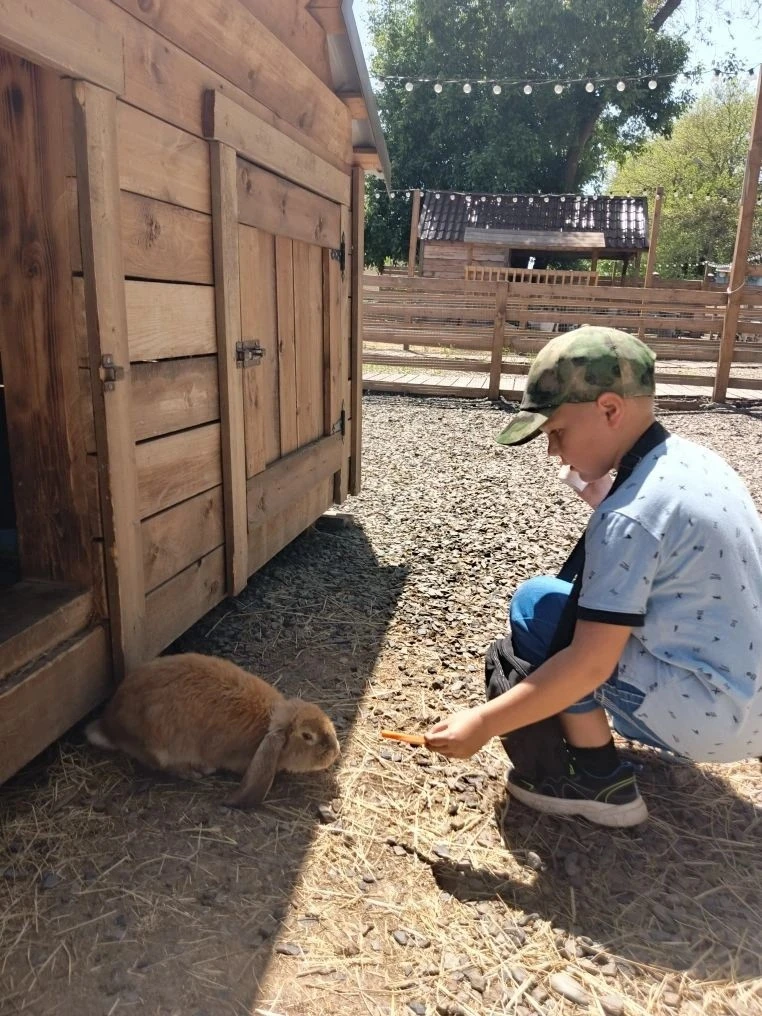 Увлекательное путешествие к альпакам! 🦙 ☀    Сегодня 1 "З" класс отправился на экскурсию в парк альп