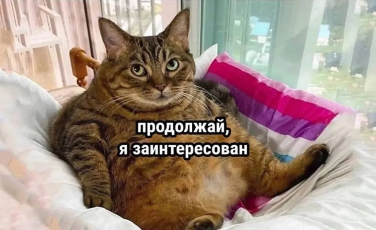 🍔 Тяга к еде усиливается осенью из-за нехватки света
