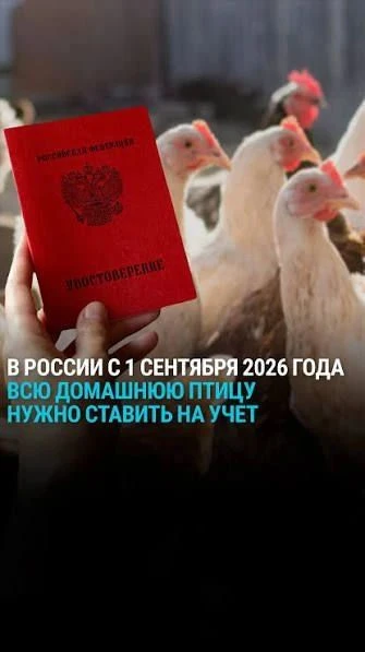 ❗️С 1 сентября 2026 года в России владельцы личных подсобных хозяйств (ЛПХ) обязаны зар...