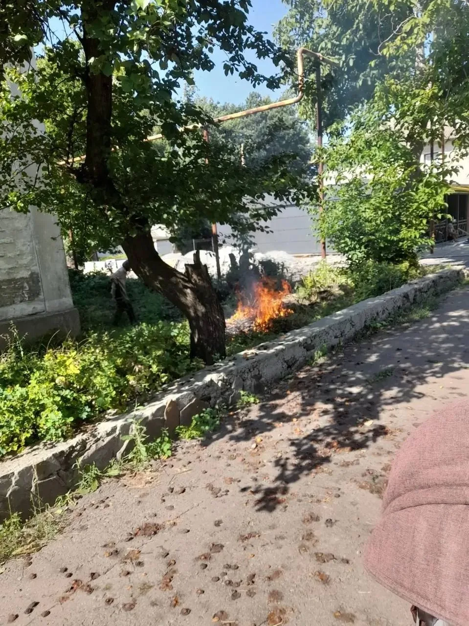 Свердловск 
Как можно назвать таких людей, кто палит таким костром, в такое время? Ещё и возле дерев