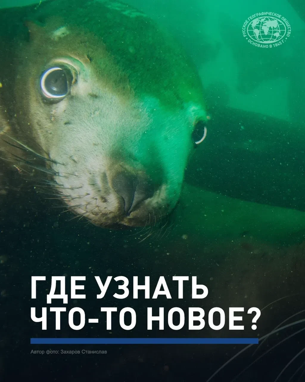 ✅Это поможет вашему ребёнку в учёбе