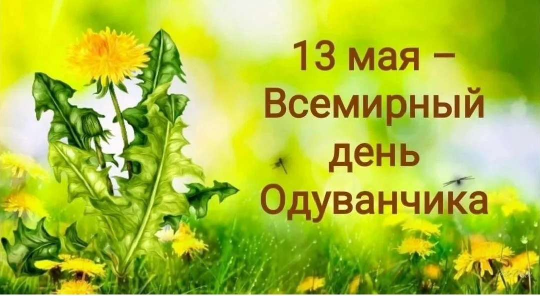 🌼🌞Прекрасная весенняя погода подарила ученикам начальных классов замечательную возмож...