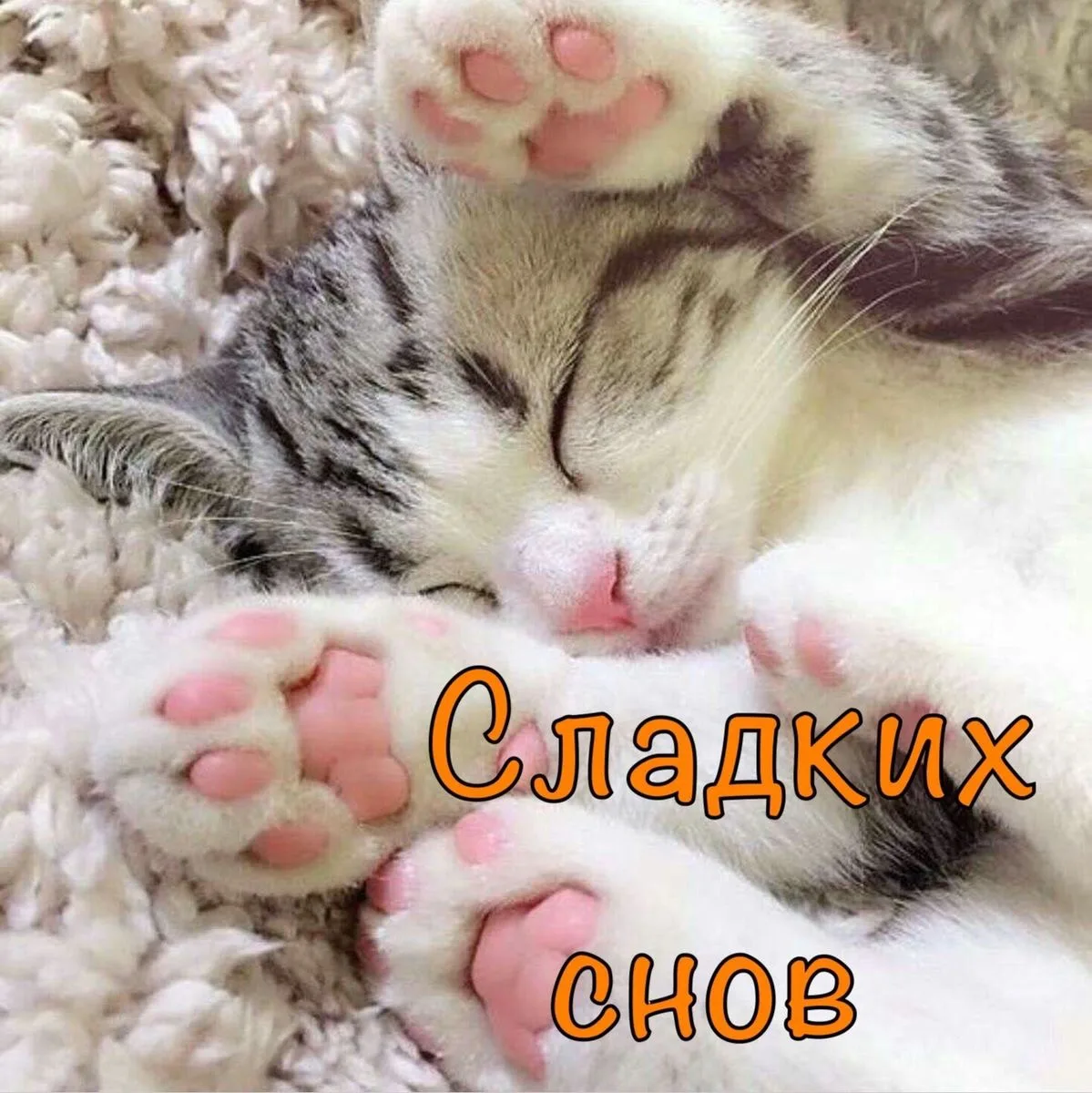 КРАСИВЫЕ ОТКРЫТКИ ТУТ💖