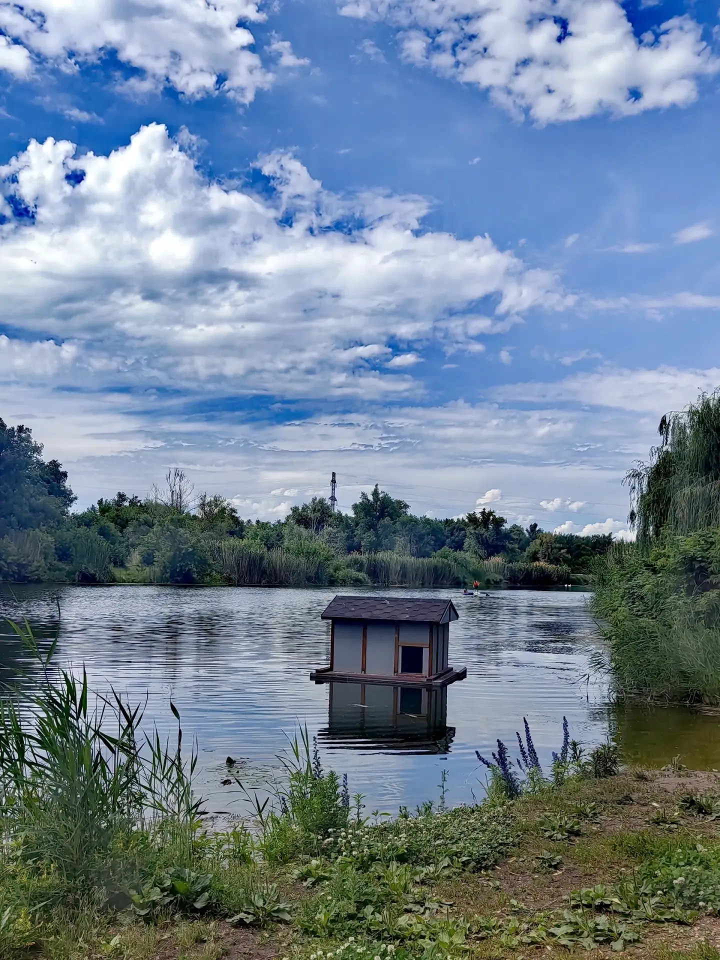🦢о. Линёво в Балаково 

Фото: Александра Гомоюнова