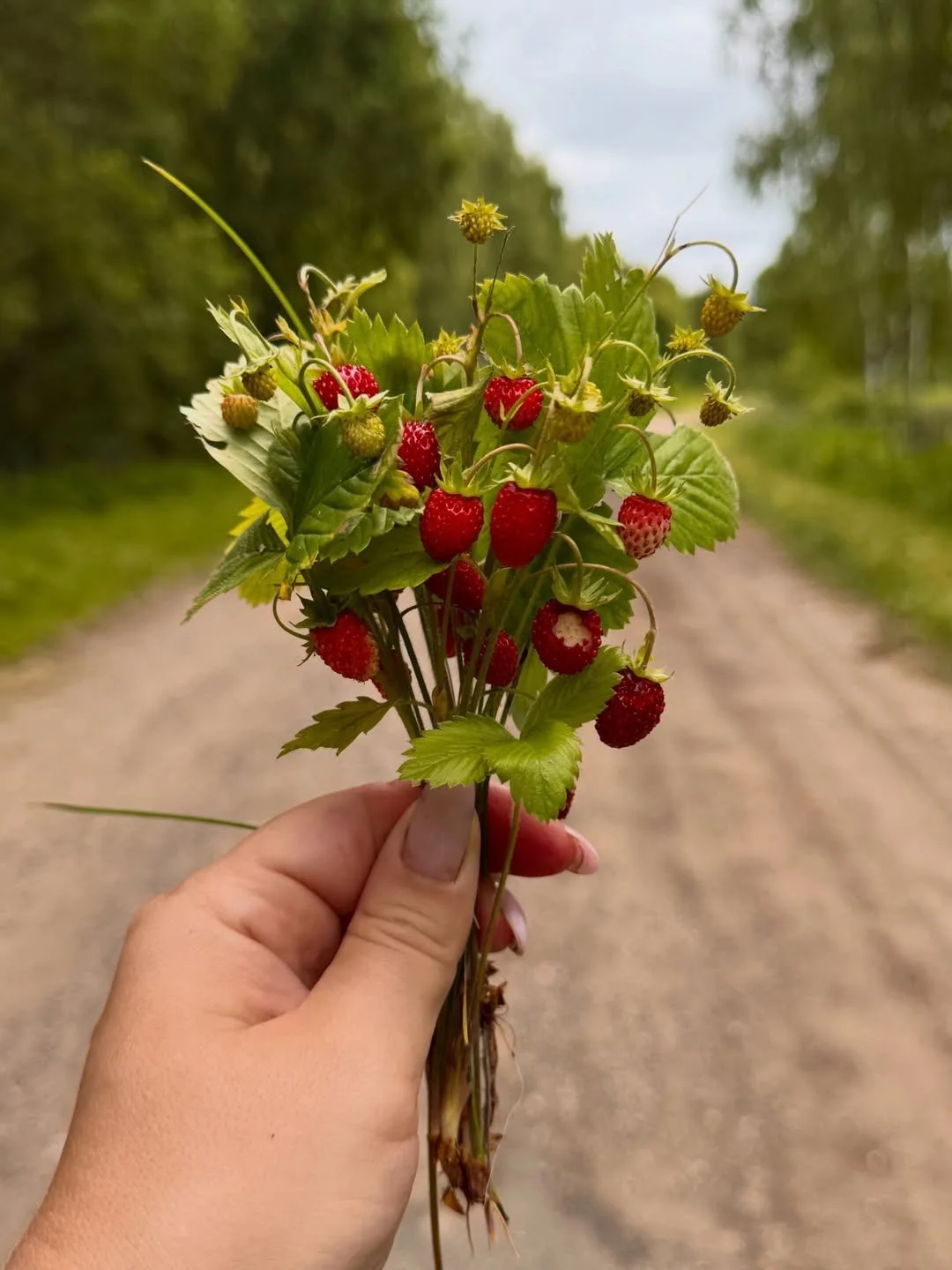 Счастье – в настоящем!
Просто живи. Просто радуйся.. 💚 
📸 Saveleva_karolina
