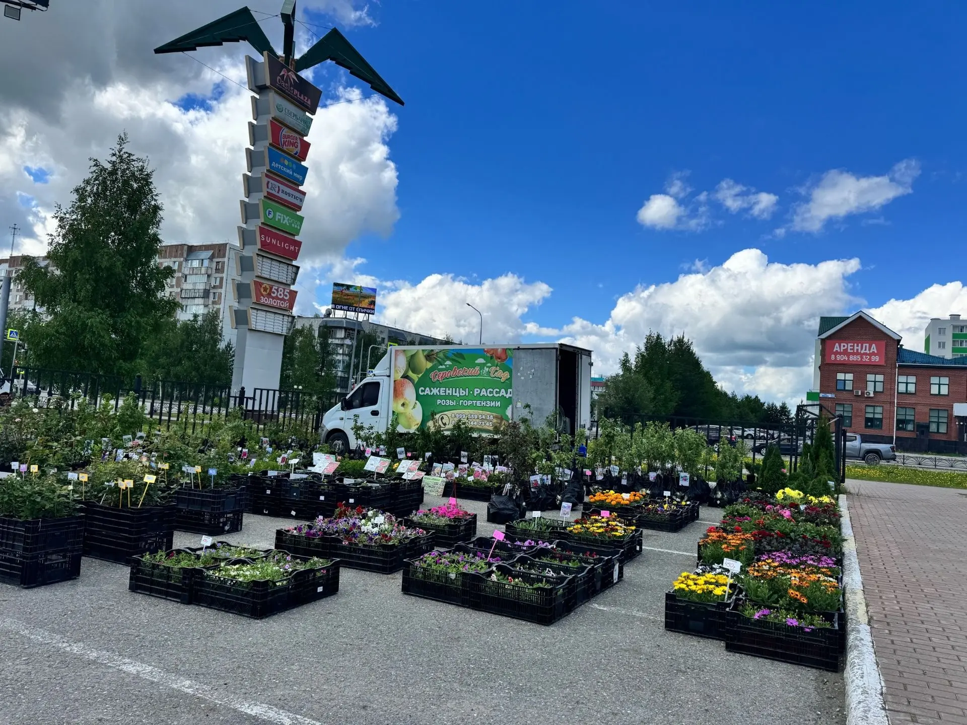 🌿 САЖЕНЦЫ «СЕРОВСКИЙ САД» 
 
📍 г. Нягань, на парковке у тц «Оазис Плаза» 
📅 14-15-16 июня
 
Больш