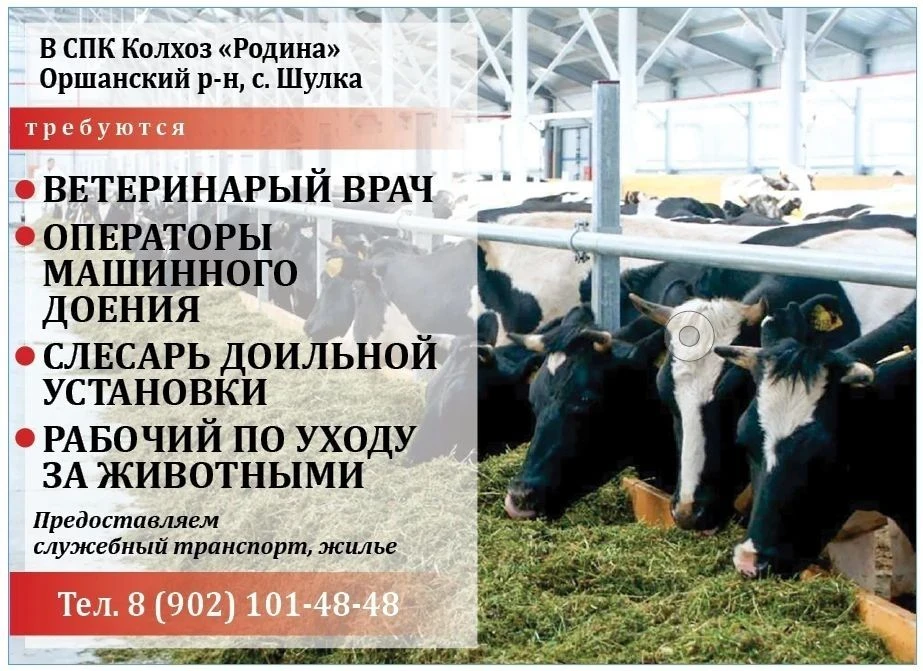 Также требуются сварщик и зоотехник!