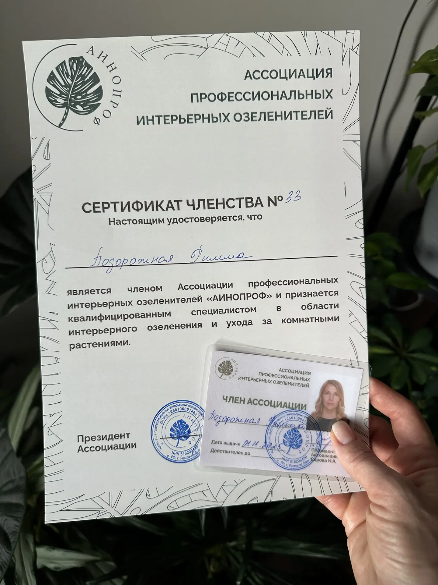 «Без бумажки мы букашки»