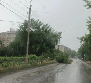 📝Коммунальная служба города предупреждает: Осторожно - опасность сверху!  Зелёные деревья с густой л