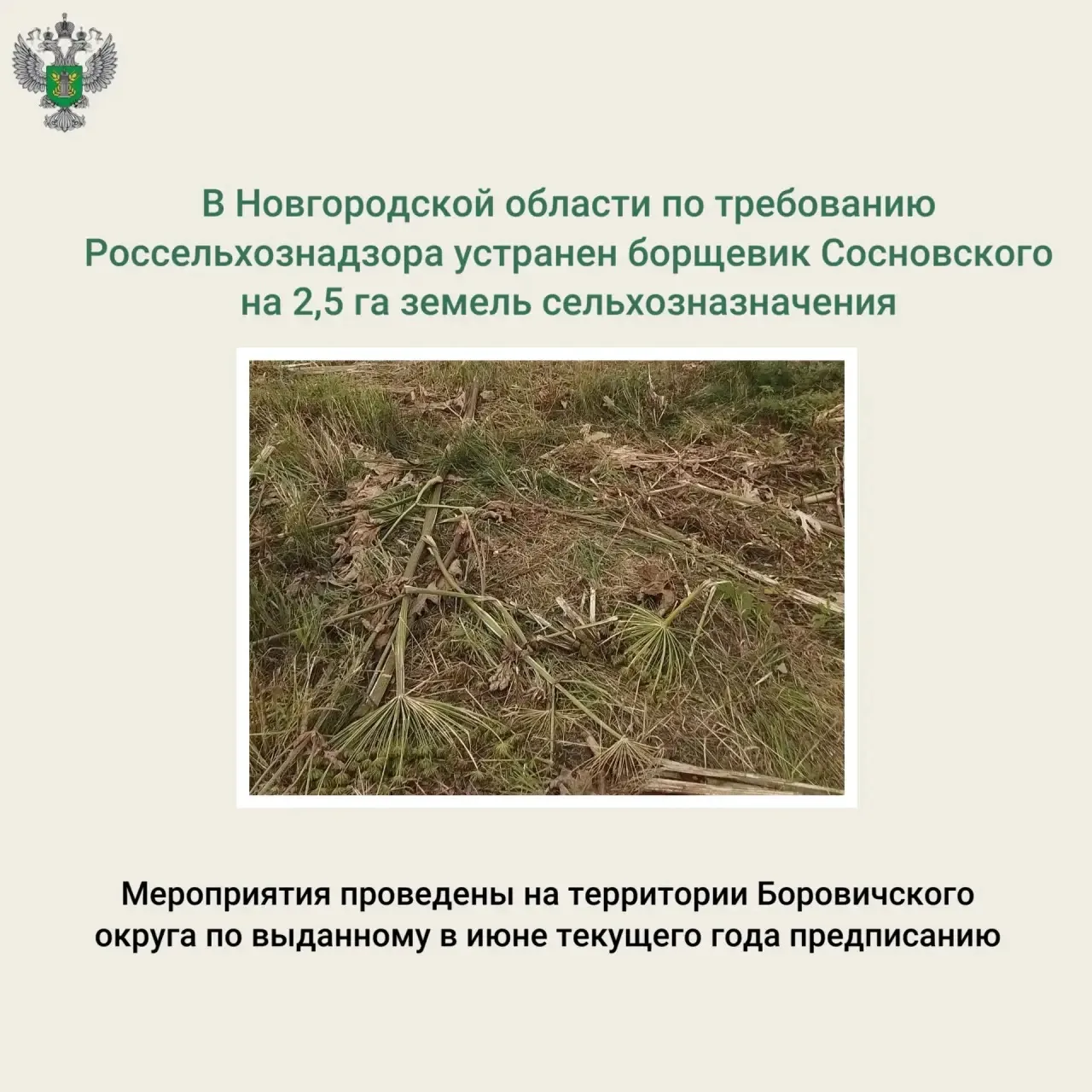 🔗 Подробнее на сайте