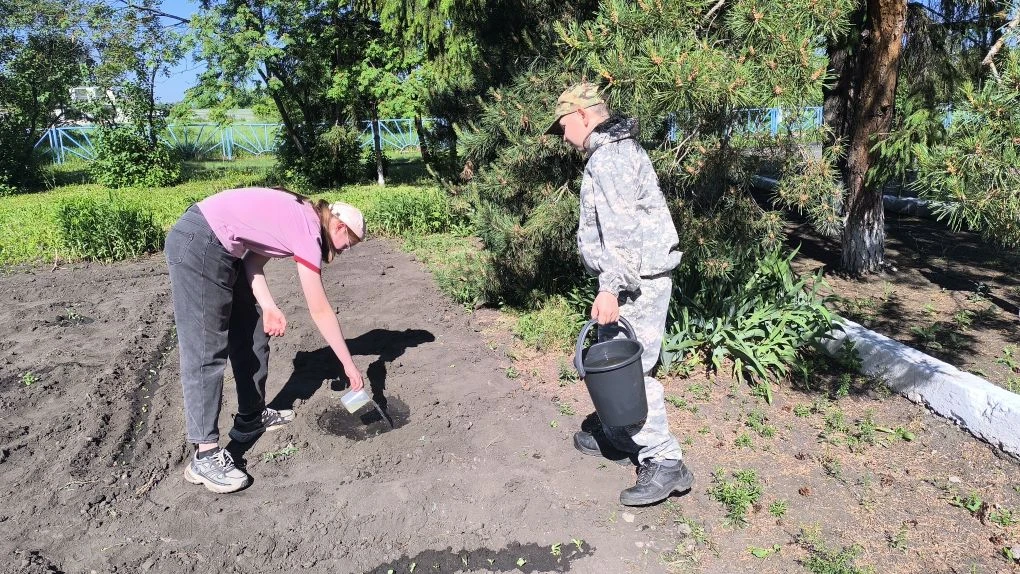 ☀️Лето с пользой
