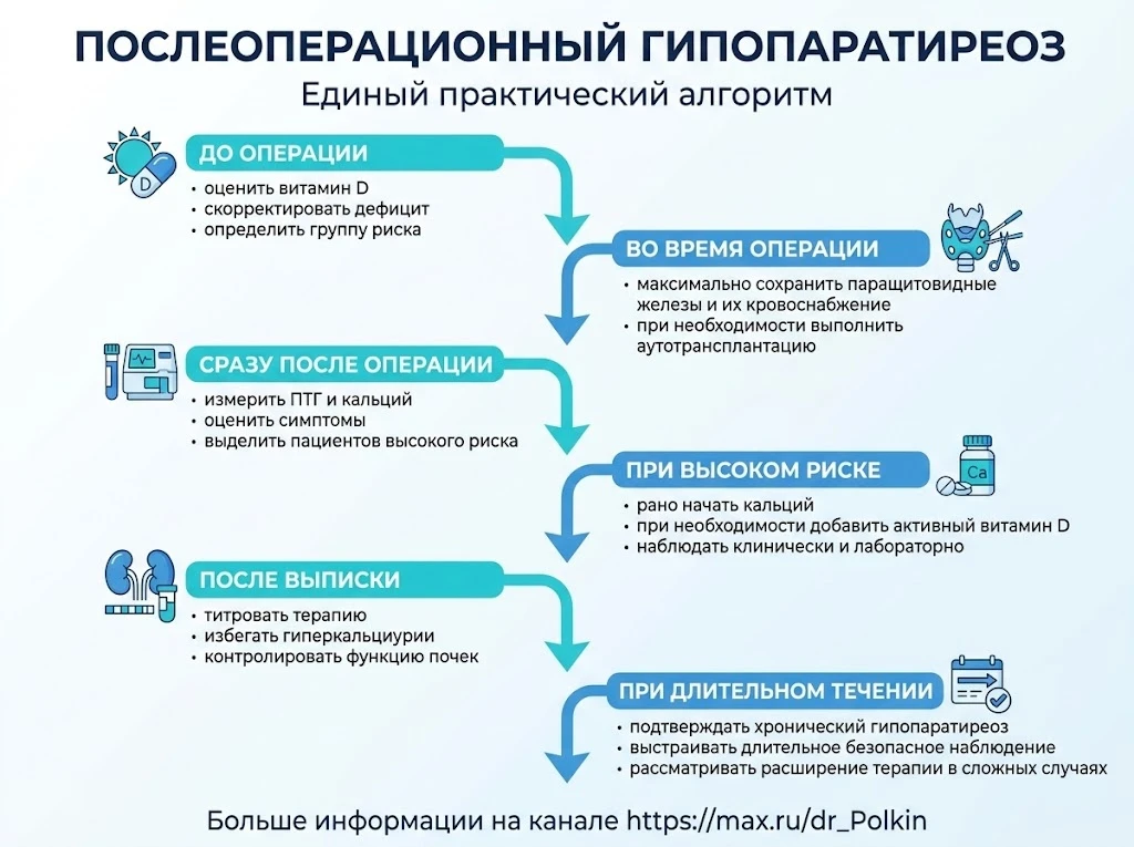 🩺 ПОСЛЕОПЕРАЦИОННЫЙ ГИПОПАРАТИРЕОЗ: единый алгоритм профилактики, ранней коррекции и лечения
После 