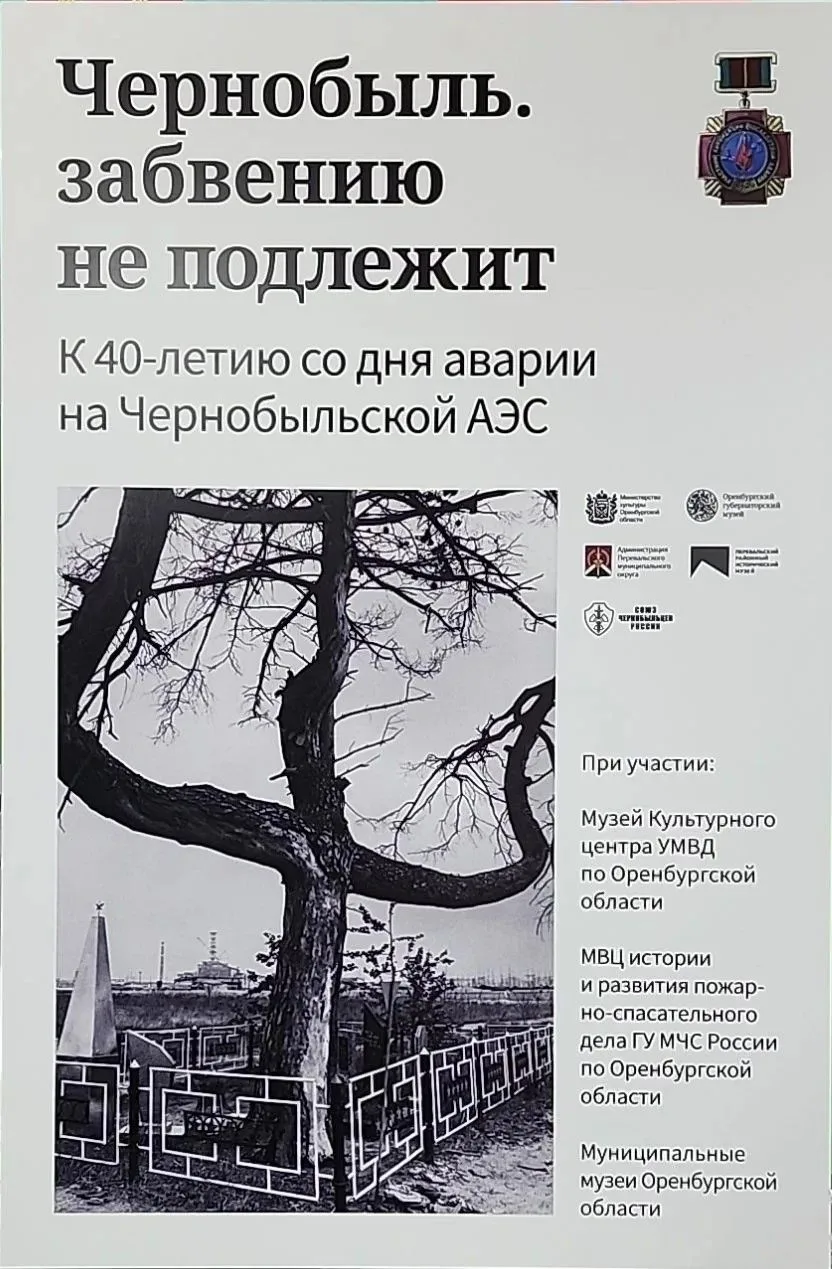 Александровцев приглашают на выставку