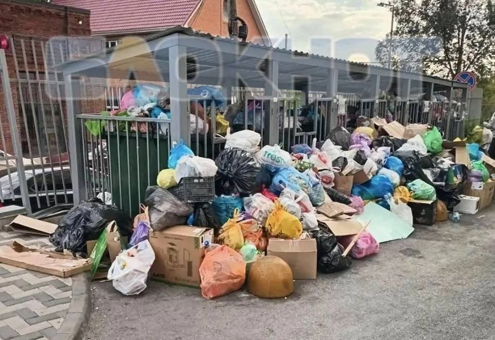 «Крысы и вонь»: жильцы ЖК и Роспотребнадзор судятся с УК из-за тонны мусора под окнами