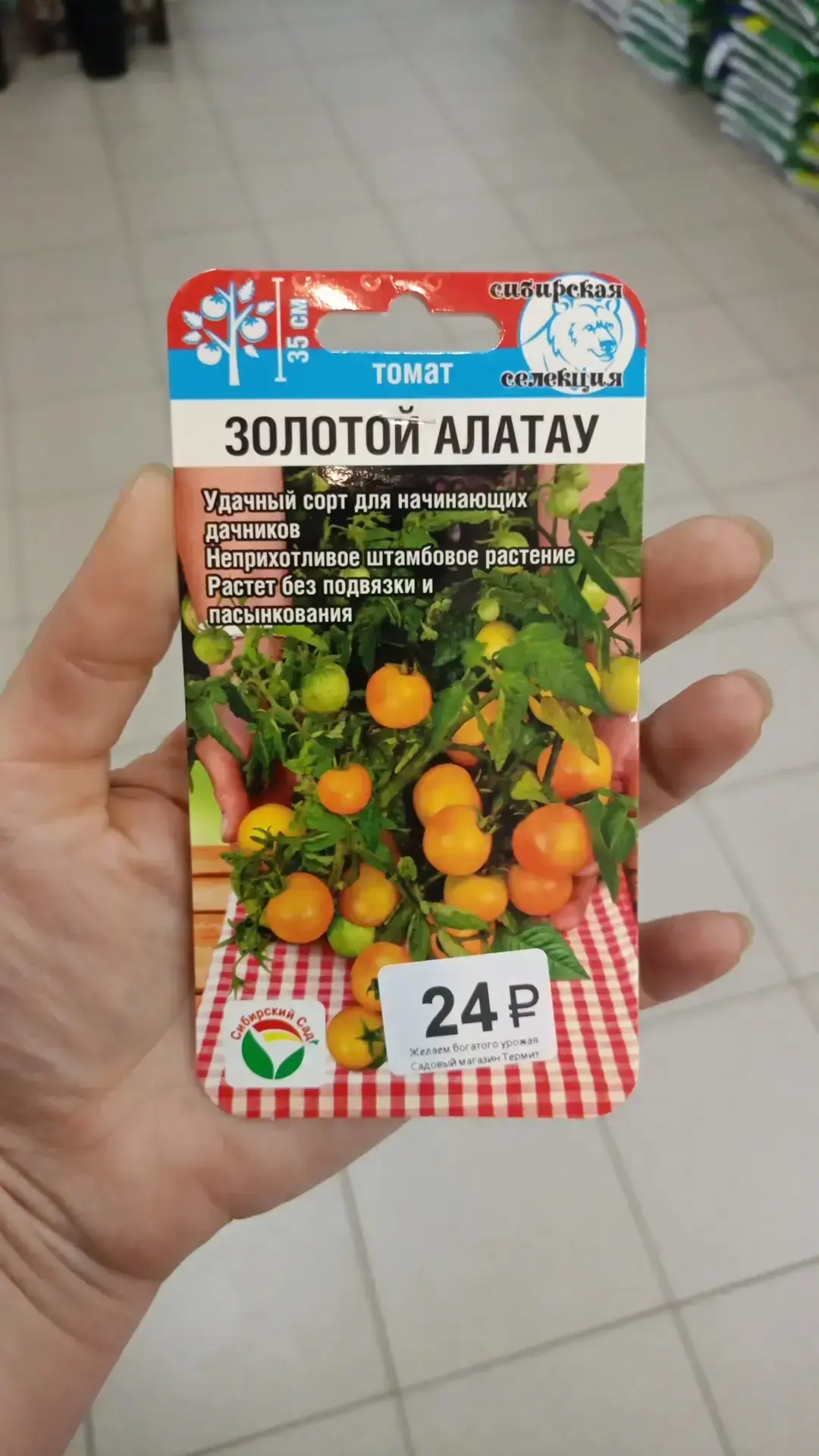 «Термит»: Томат «Золотой Алатау» — идеален для начинающих! 🍅🌱