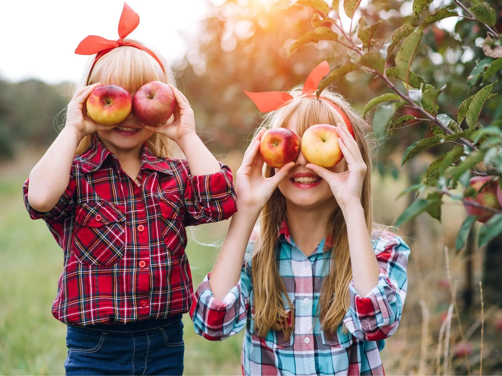 🍎 Яблочный Спас: праздник урожая и добрых традиций!