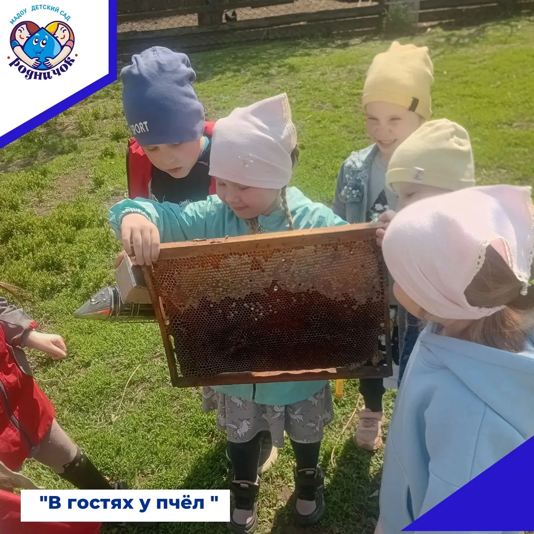 🐝Сегодня мы с ребятами были приглашены в гости к пчелам. Хозяйка домашней пасеки охотн...