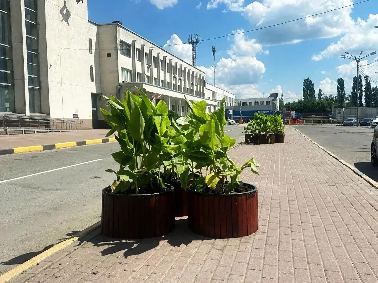 В Брянске«зацвела» привокзальная площадь 🌺