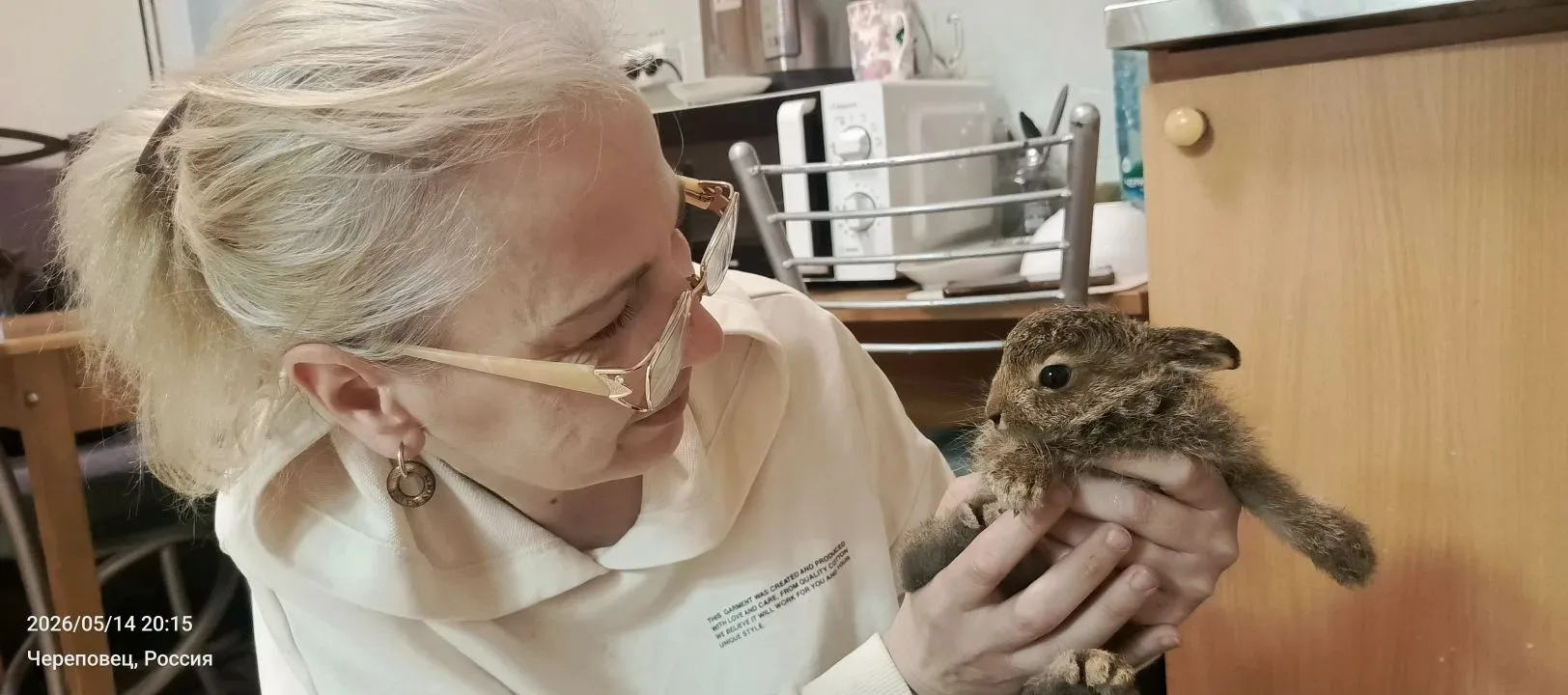 🐰🐰Зайчишку спасли, отогрели и нашли ему новый дом.