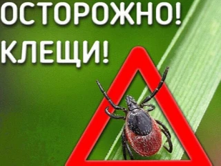 ☝Памятка для родителей: "Осторожно – клещи!     

❗Вместе с пробуждением природы пробудились и те, к