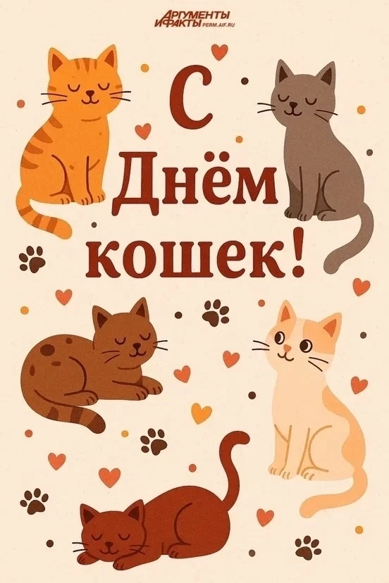 🐱🐾 1 марта — День кошек в России! 🐾 🐱