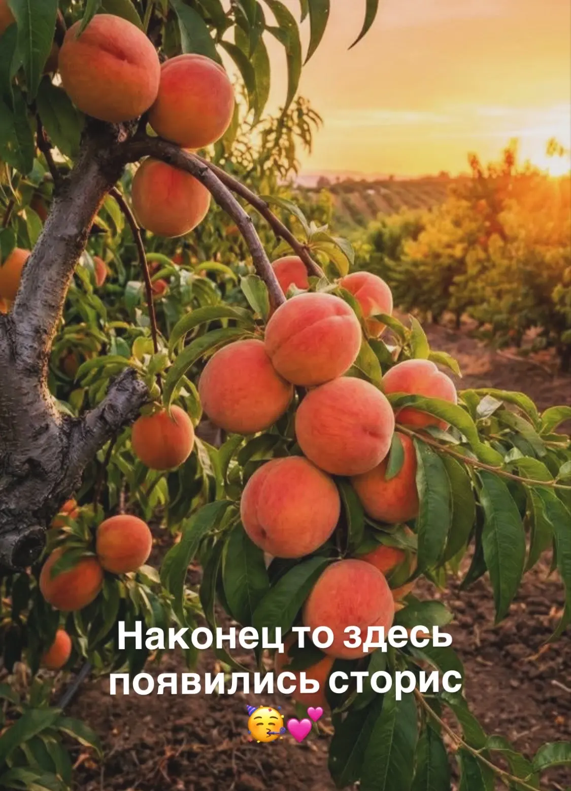 Друзья! 
Наконец то MAX сделал сторис! 

Хорошая новость заключается в том, что они уже доступны пол