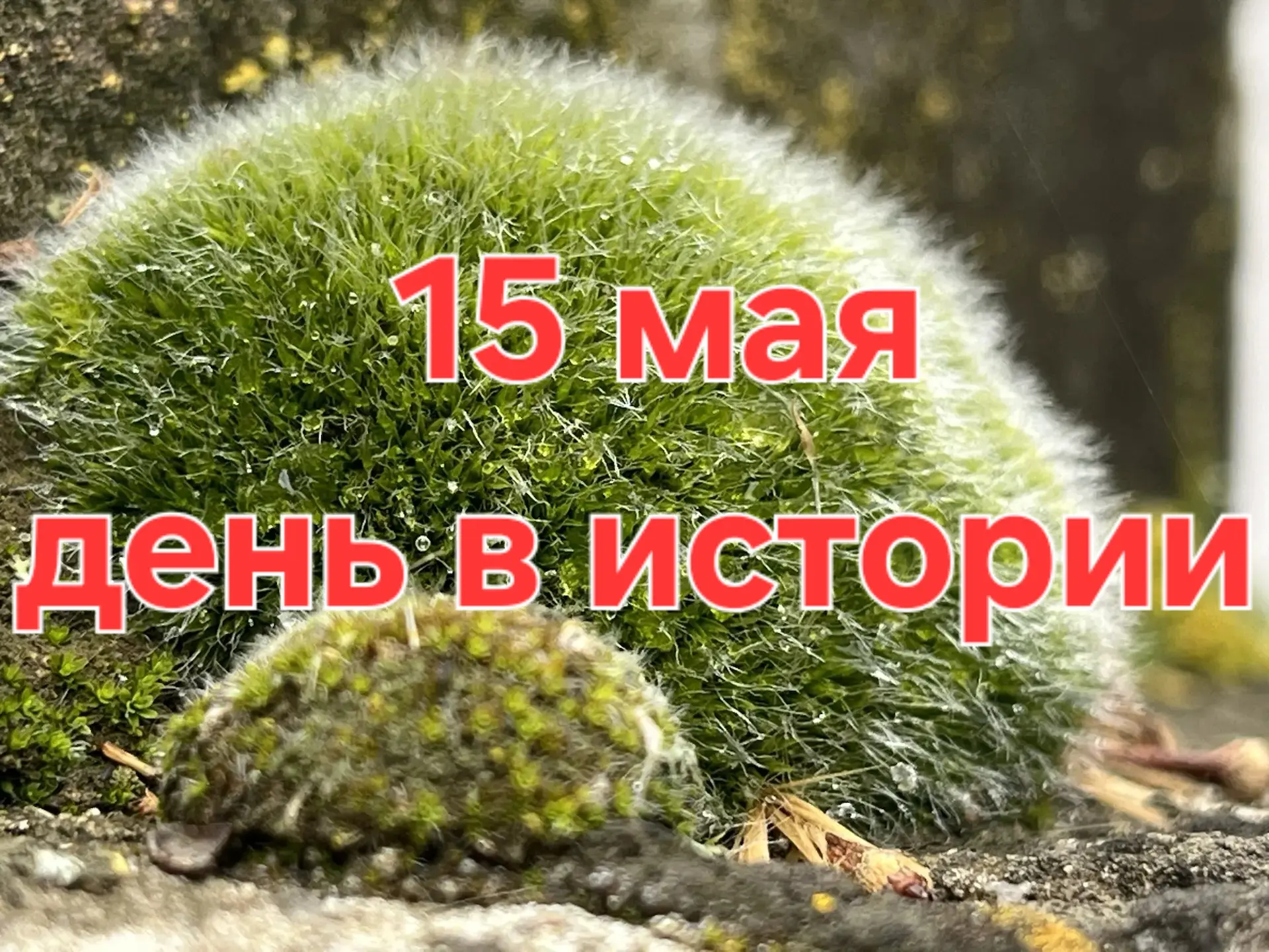 А знаете ли вы, что ❓ Основные исторические события 15 мая: