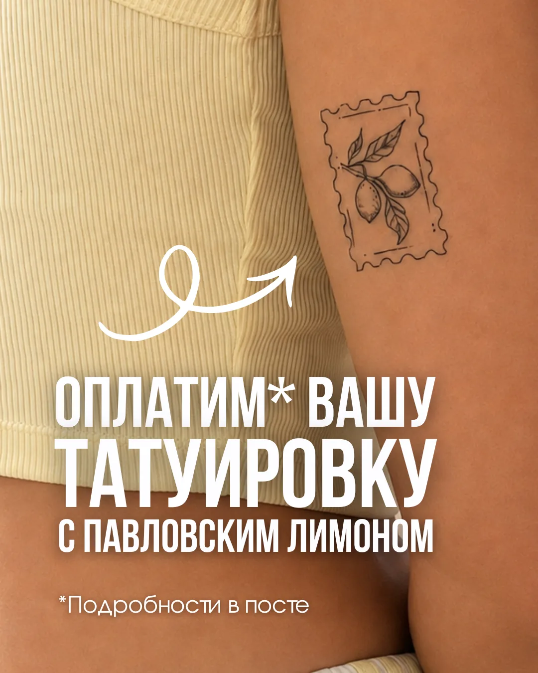 Для большинства Павловский лимон может быть просто растением. Но для кого-то — это напо...