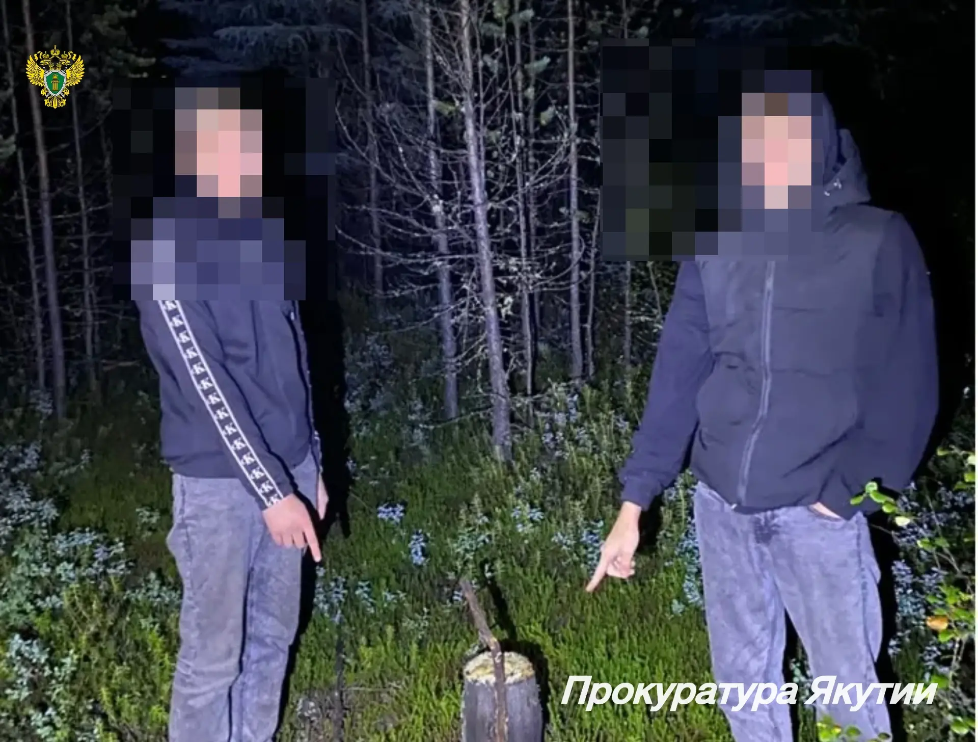 ❗️ В г. Нерюнгри двое молодых людей осуждены за покушение на сбыт наркотиков в особо кр...