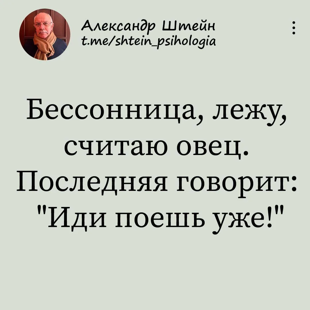 Александр Штейн
