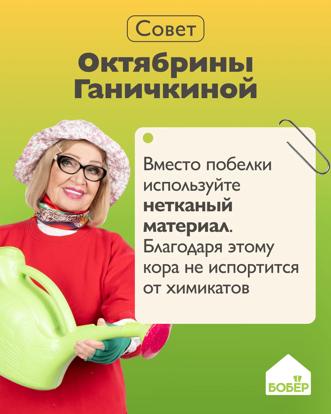 Позаботьтесь о здоровье деревьев на участке 😌