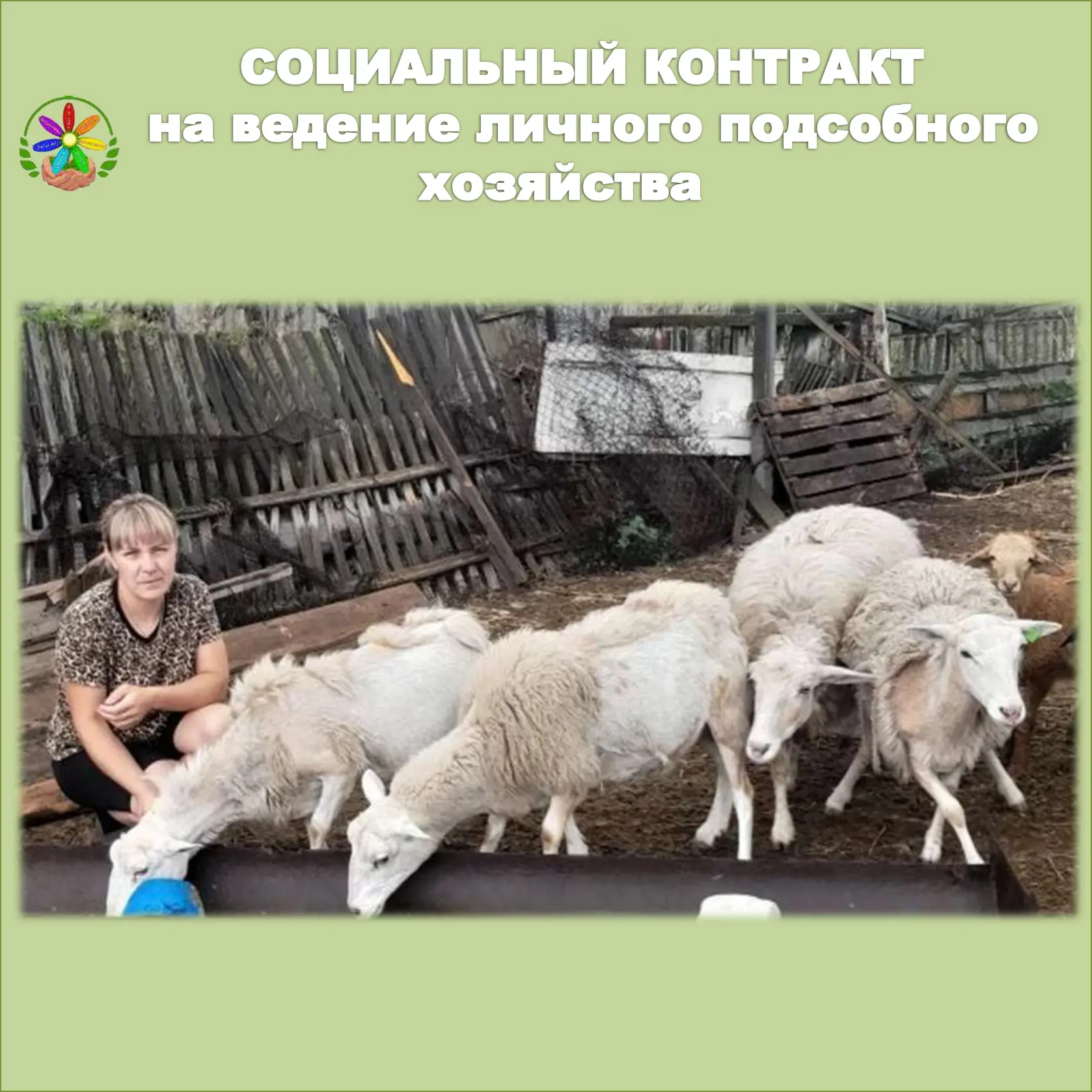 ✳️Волченкова Екатерина Андреевна из